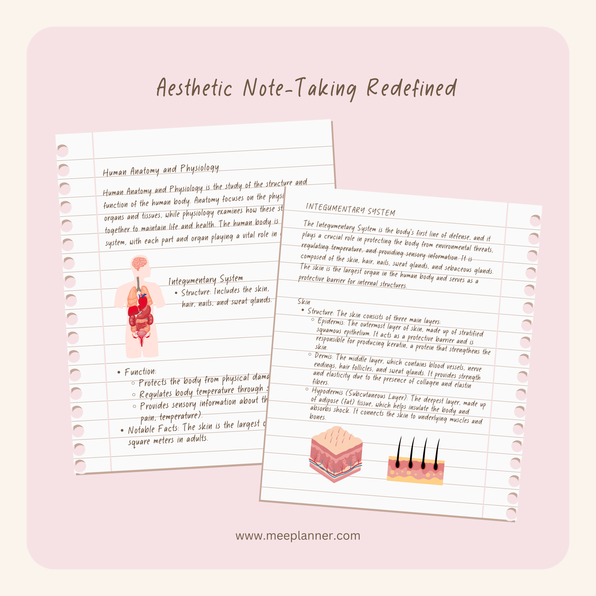 Aesthetic Handwriting Font - Meeplanner