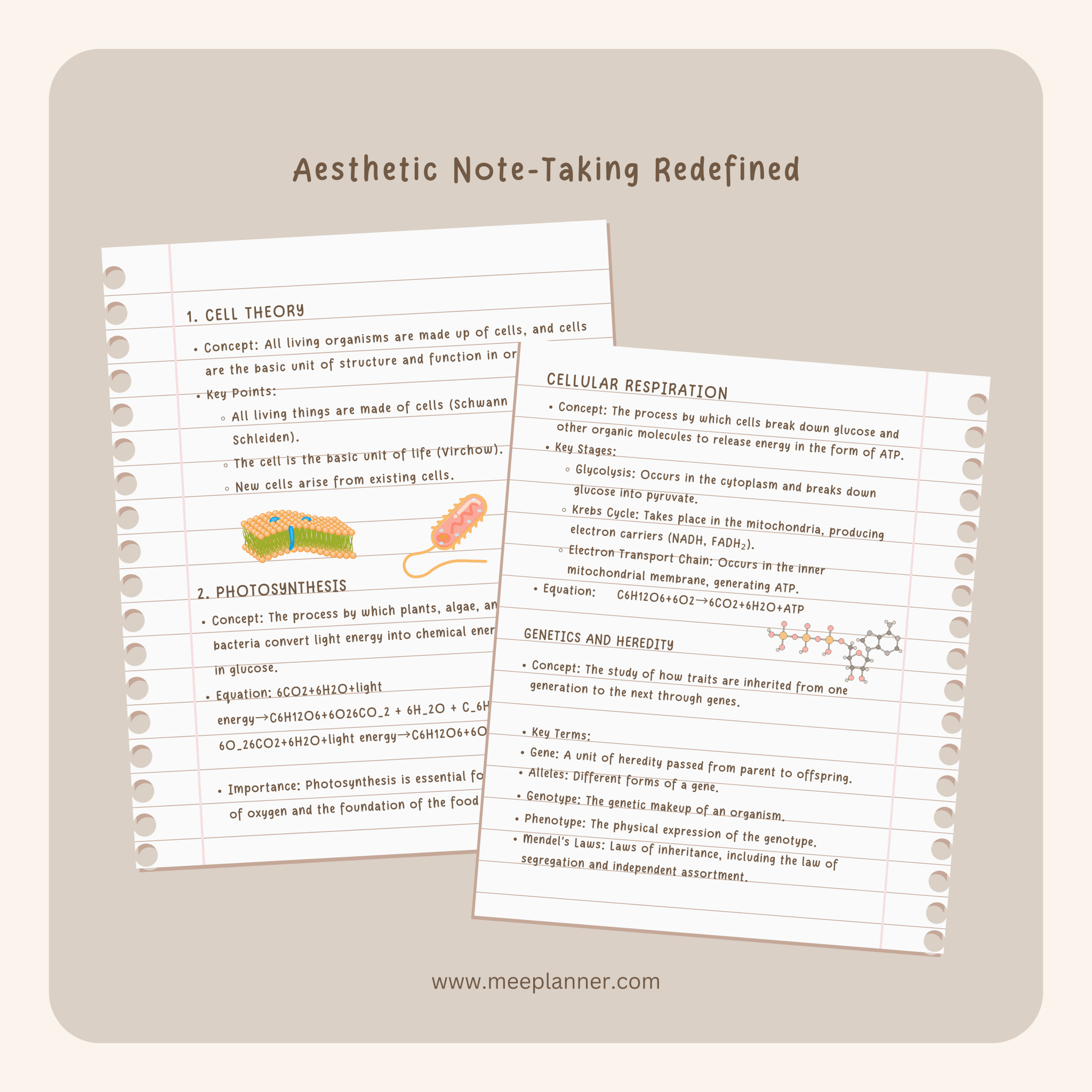 Aesthetic Handwriting Font - Meeplanner