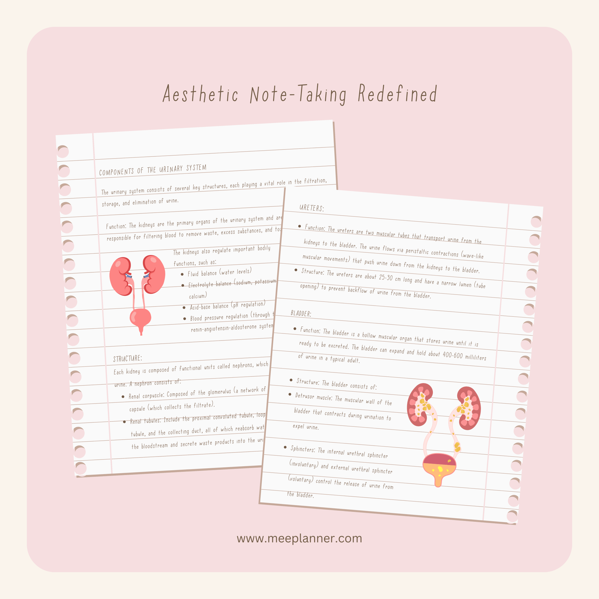 Aesthetic Handwriting Font - Meeplanner