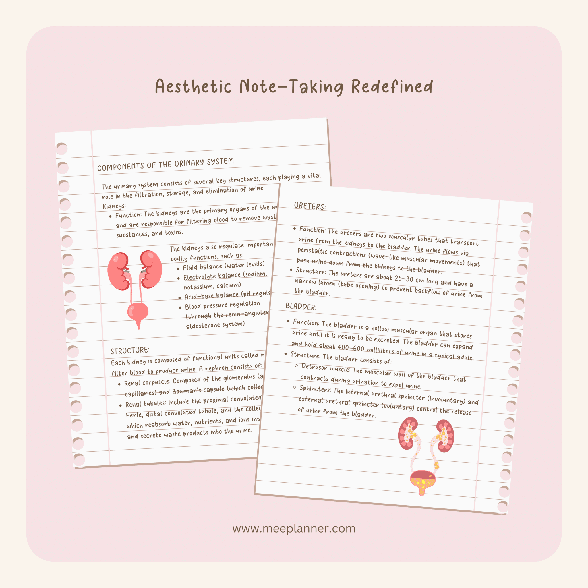 Aesthetic Handwriting Font - Meeplanner