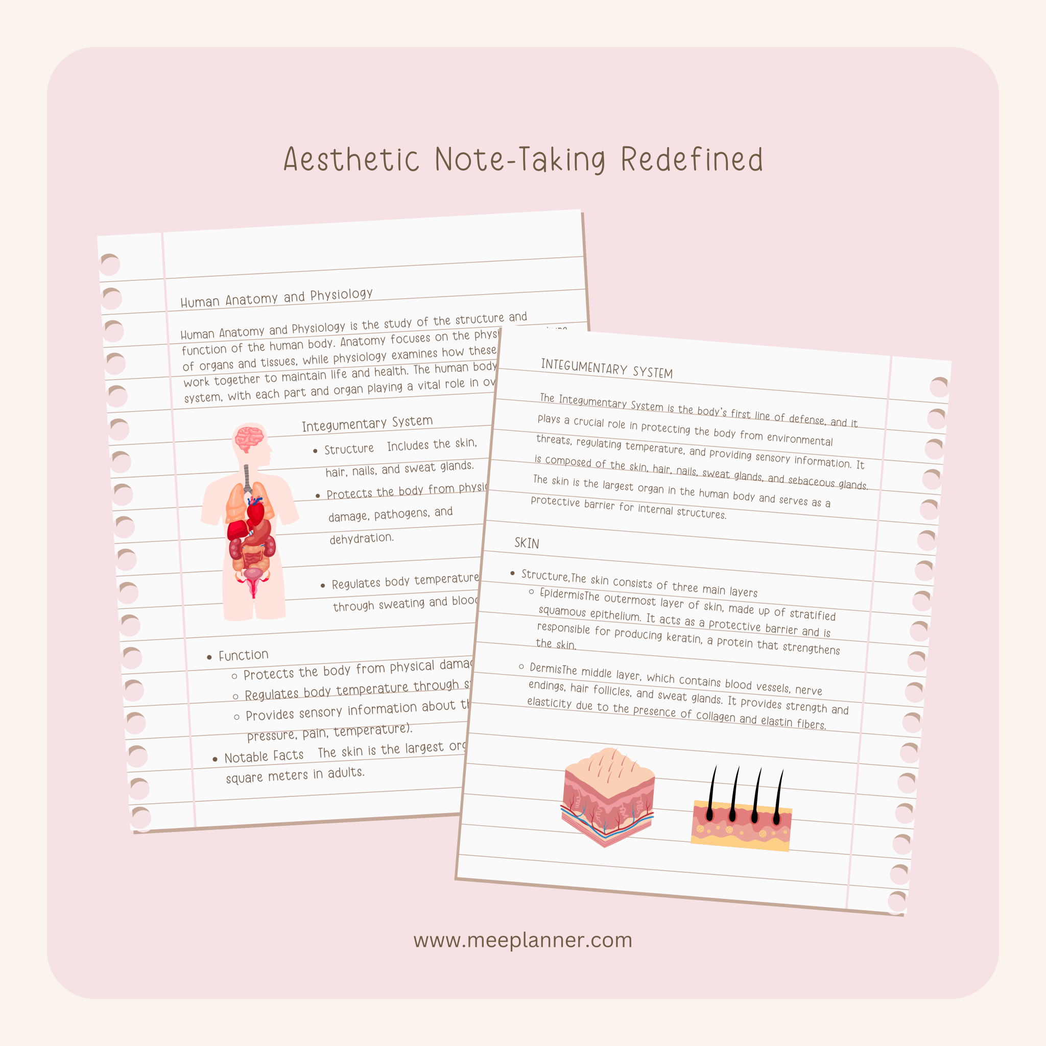 Aesthetic Handwriting Font - Meeplanner