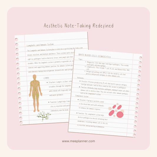 Aesthetic Handwriting Font - Meeplanner