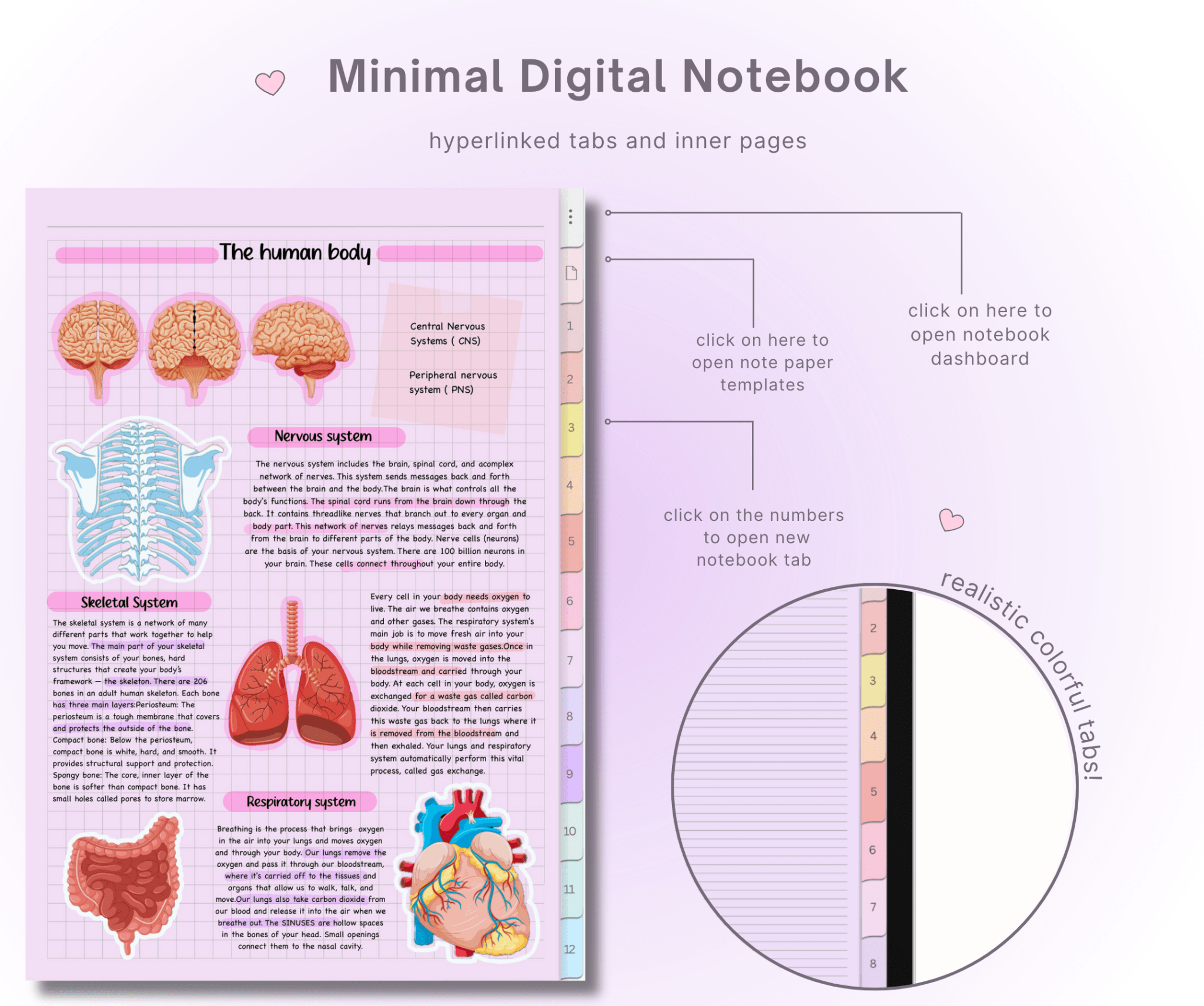 Digital Notebook - Blush & Purple Pages - Meeplanner